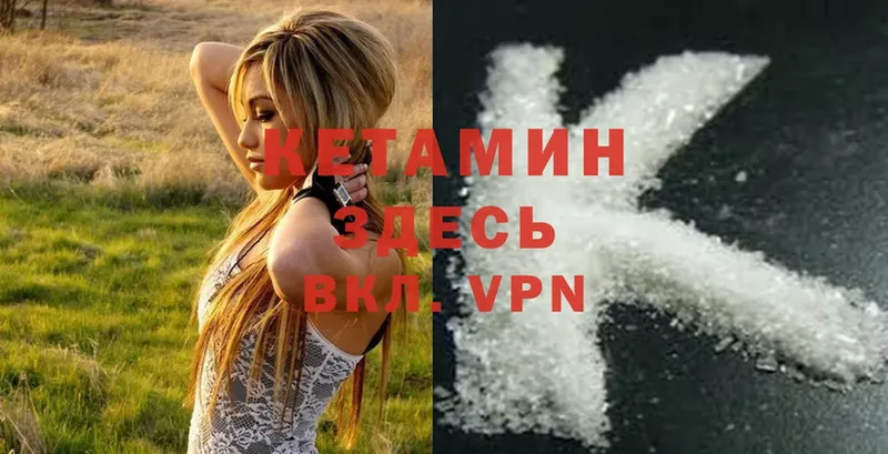 blacksprut как войти  где купить наркоту  Щёкино  КЕТАМИН ketamine 